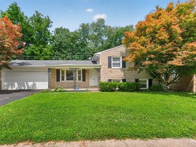 1041 Camellia Dr