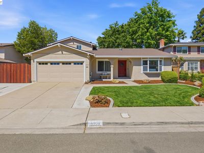 2223 Camino Brazos