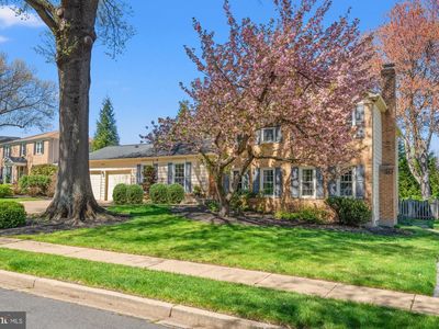 6212 Nethercombe Ct