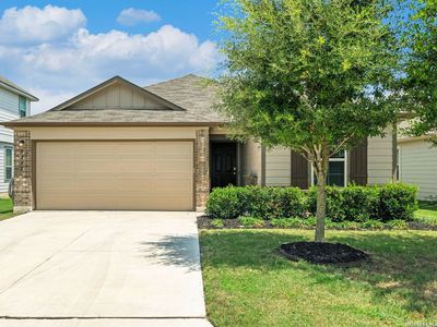3232 Field Thistle