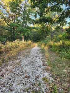 Property at 136 Sydnorville Rd, Troy, MO