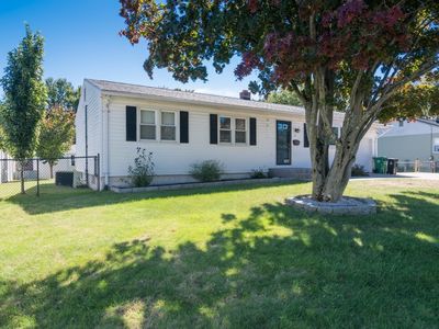 17 Pickering St