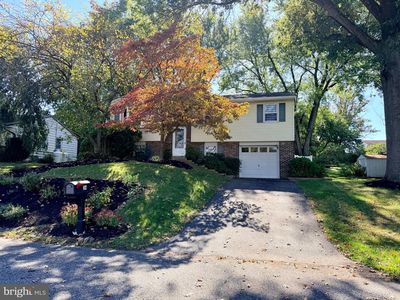 34 Chestnut Ln