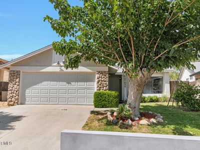 37652 Patty Ct