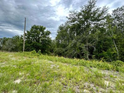 Property at Tbd Cr 49, O'Brien, FL