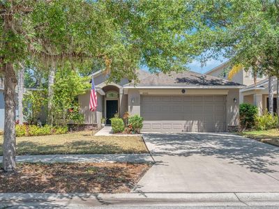 10510 Summer Azure Dr