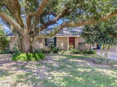 120 Burrow Dr