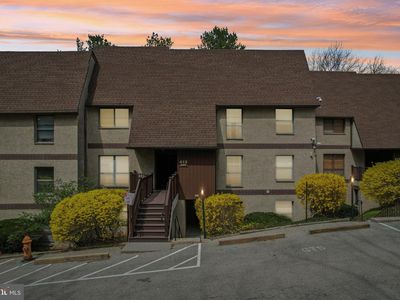 413 Shawmont Ave APT D