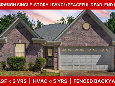 9852 Pigeon Roost Park Cir
