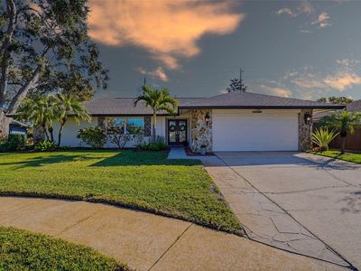 Property at 10099 Linden Place Dr, Seminole, FL