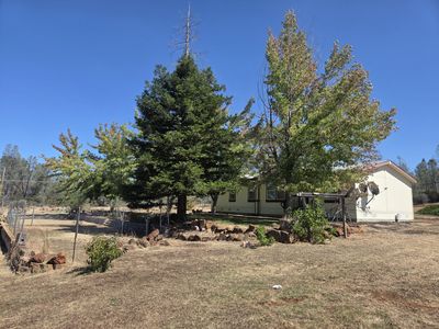 7241 Pine Meadows Dr
