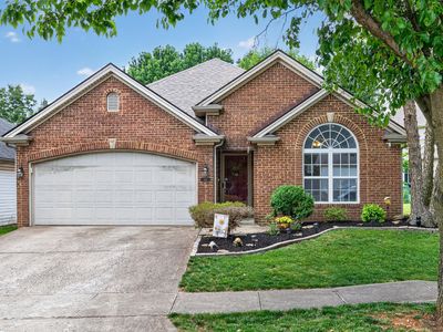 141 White Oak Trce
