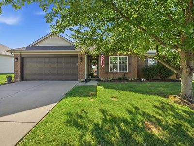 338 Tree Line Rd