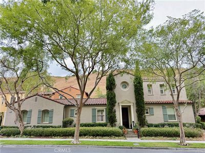 58 Shade Tree