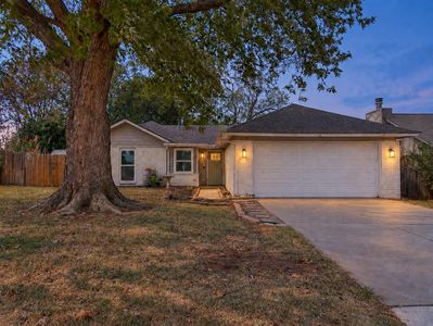513 Beagle Cir