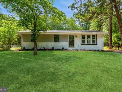 63 Palmetto Ave