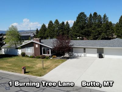 1 Burning Tree Ln