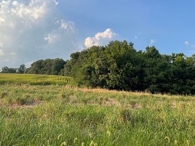 1810 County Road 228