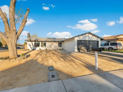 42842 Willow West Ct