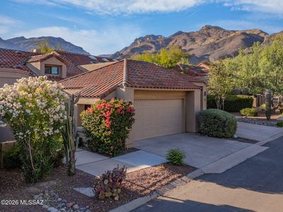 6119 N Black Bear Loop