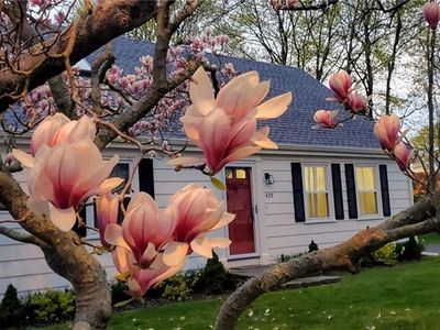 429 Forest Ave