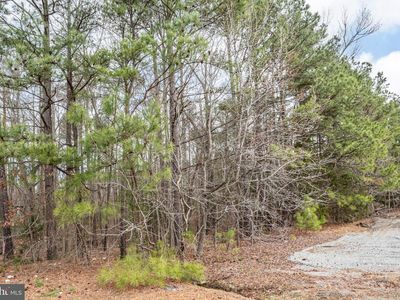 215 Moonlight River Rd