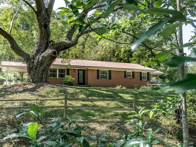 431 Big Springs Dr