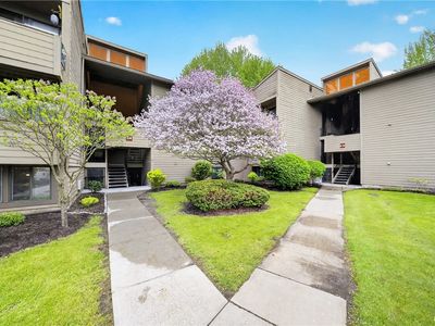 8 Watertree Dr