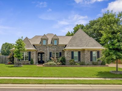 51 Johnsborough Cv