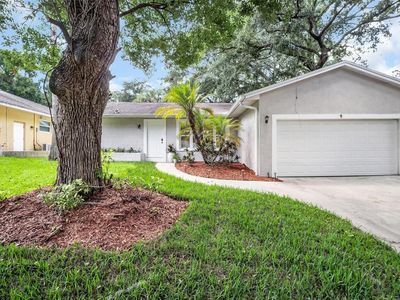 9 HARBOR COVE STREET W