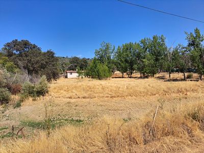 11785 Fairy Ring Mushroom Ct