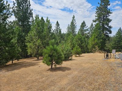 Property at 0 Wedemeyer Pl, Weimar, CA