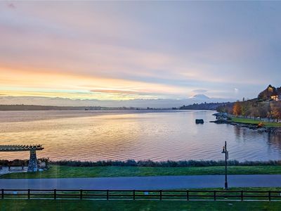 4907 Main Street #317