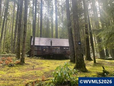 65-B Stahlman Forest Service #49