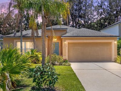 Property at 249 CURTIS AVENUE, Groveland, FL