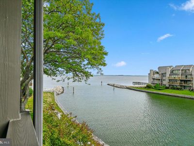 2121 Quay Village Ct APT 202