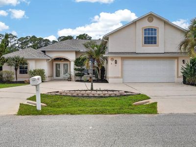 11 ZONAL GERANIUM COURT