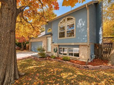 800 Buchanan Ln