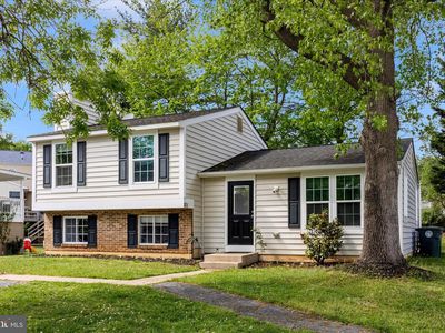 101 Andover Ct