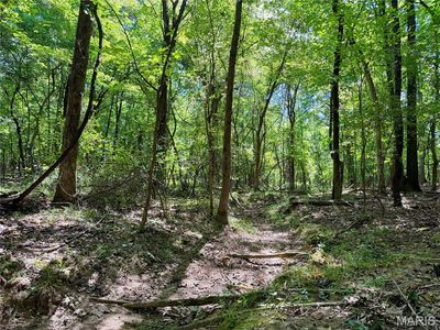 19137 County Road 268