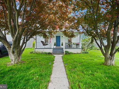 519 Willow Ave