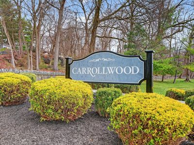 91 Carrollwood Drive