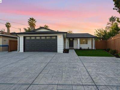965 Collins Ct