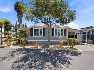 703 Sequoia Street