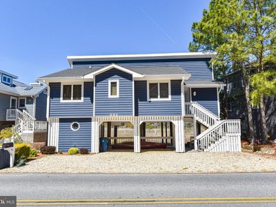 431 Black Gum Dr