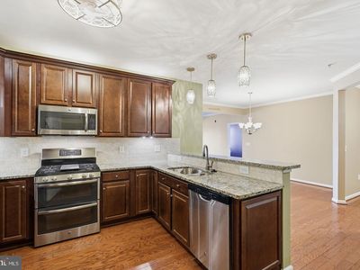 24637 Woolly Mammoth Ter Unit 205