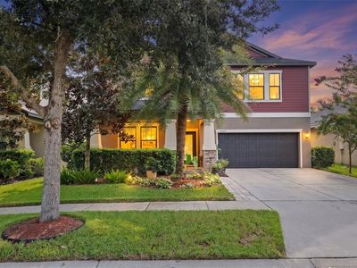 14242 BLUE DASHER DRIVE
