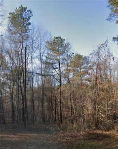 Property at 0 Cascade Palmetto Hwy, Palmetto, GA