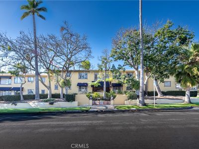 1615 N Laurel Ave APT 203