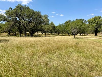 43 ACRES Sattler Rd.